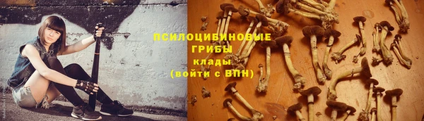 ешки Арсеньев