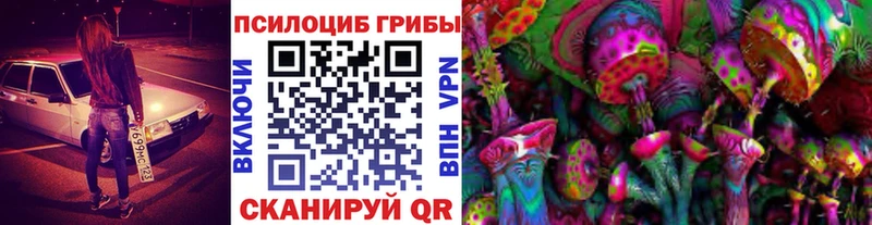как найти закладки  Богучар  Псилоцибиновые грибы Magic Shrooms 